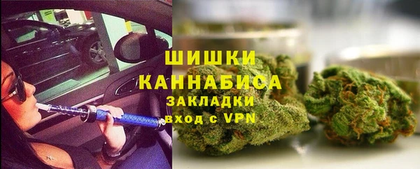 индика Шадринск
