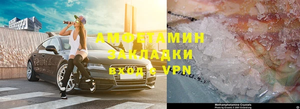 ПСИЛОЦИБИНОВЫЕ ГРИБЫ Михайлов