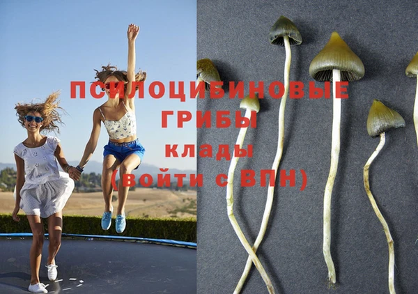 наркотики Арсеньев